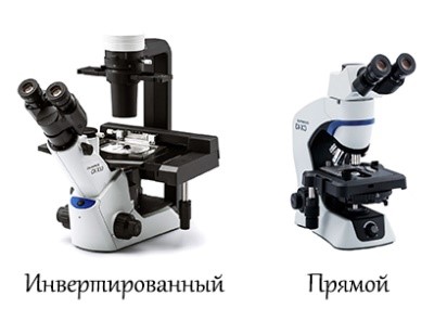 Биологический микроскоп: прямой или инвертированный